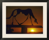 Chien Affiches par Alberto Giacometti