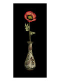 Poppy Magic IV Giclee Print by Vision Studio 