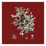 Red and Tan Coral III Giclee Print by Vision Studio 