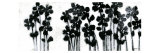 Black Flowers on White I Lámina giclée por Norman Wyatt Jr. Black Flowers on White I Lámina giclée por Norman Wyatt Jr.