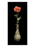 Poppy Magic III Giclee Print by Vision Studio 