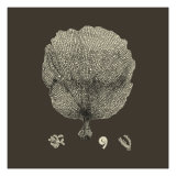 Chocolate & Tan Coral II Giclee Print by Vision Studio 