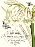 Jardin Botanique I Wydruk giclee autor Vision Studio Jardin Botanique I Wydruk giclee autor Vision Studio