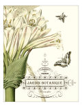 Jardin Botanique II Giclée-Druck von Vision Studio 