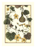 Arts and Crafts Gourd Giclée-Druck von M.P. Verneuil