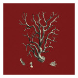 Red and Tan Coral I Giclee Print by Vision Studio 