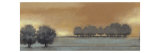 Tranquil Landscape V Lámina giclée por Norman Wyatt Jr.