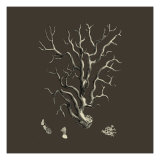 Chocolate & Tan Coral I Giclee Print by Vision Studio 