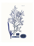 Shades of Indigo I Giclee Print by Vision Studio 