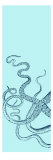 Octopus Triptych I Giclee Print by Vision Studio 