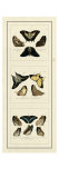 Antique Butterfly Panel I reproduction procédé giclée par Jablonsk 