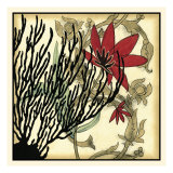 Coral Tapestry IV Giclee Print by Jennifer Goldberger