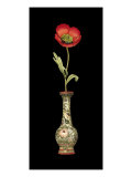Poppy Magic I Giclee Print by Vision Studio 