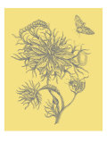 Nature's Optimism II Giclée-Druck von Vision Studio 