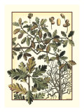 Arts and Crafts Oak Giclée-Druck von M.P. Verneuil