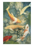Reflecting Koi II Lámina giclée por Megan Meagher
