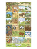 Alphabet Giclée-Druck von Tara Friel