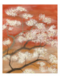 Mandarin Mist II Giclee Print by Vanna Lam