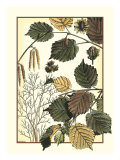 Arts and Crafts Hazelnut Giclée-Druck von M.P. Verneuil