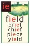 IE for Field Photographie