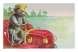 Ours en peluche au volant d’une voiture de pompier Photographie