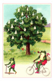 Frogs Passing Horse Chestnut Prints
