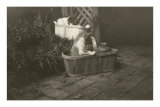 Kittens in Basket Posters