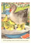 Goslings in Water Basin Posters