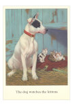 Dog Watches Kittens Prints