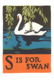 S is for Swan Plakáty