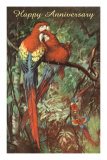 Happy Anniversary, Preening Macaws Print
