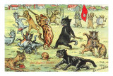 Cats Playing Soccer Foto