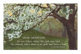 Advice for the Graduate, Cherry Blossoms Poster