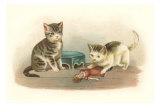 Two Kittens with Doll Poster