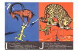 Ibex and Jaguar Posters