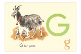 G is for Goat Kunstdrucke