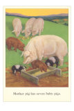 Mother Pig Has Piglets Posters