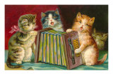 Kittens Playing Concertina Pôsteres Kittens Playing Concertina Pôsteres