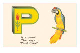 P is a Parrot Posters