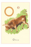 O is for Ox Pósters O is for Ox Pósters
