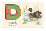 D is a Duck Prints