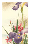 Irises and Other Flowers Posters