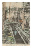 Stone Steps to Nikko Tomb Posters
