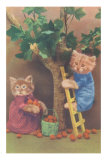 Dressed Kittens Picking Fruit Posters