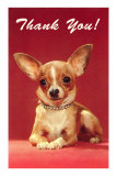 Thank You, Chihuahua Posters