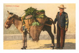 Vegetable Seller with Donkey, Italy Prints