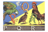 Parrot, Quail and Rooster Print