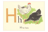 H is for Hen Affiches