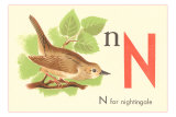 N is for Nightingale Prints