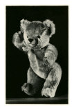 Ours en peluche Affiches